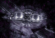 complexiteit in de natuur