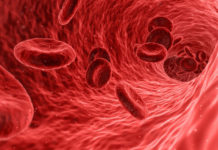 verzwegen wetenschap