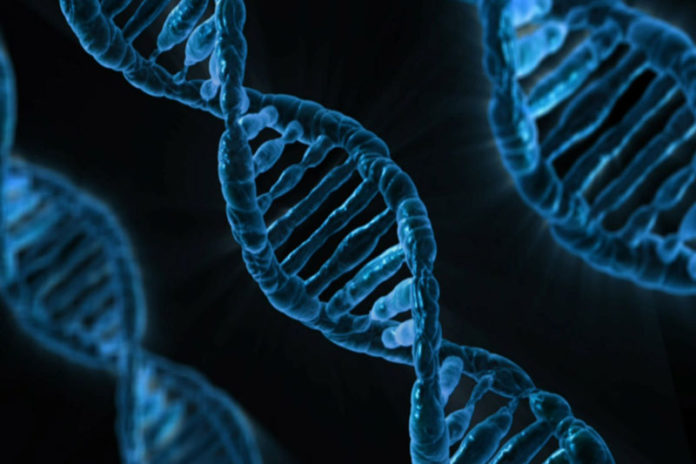 evo9