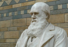 Darwin en het geneticadrama