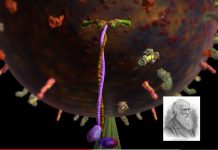 de waarheid over de evolutietheorie